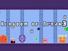 Kingdom of Ninja 3